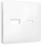 Лицевая панель Ambrella Volt ALFA (Белый глянец) для розетки 2USB тип A+C QUANT AP1110