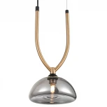 Подвесной светильник Vele Luce Cloe VL5434P01