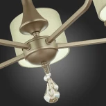 Потолочная люстра Evoluce Elida SLE107703-05