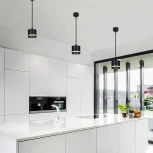 Подвесной светильник Reluce 53002-0.9-001LD GX53 BK (220V, на проводе)