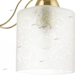 Бра Lumion Opicus 3508/1W