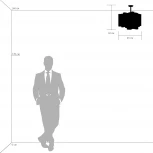 Потолочная люстра Lightstar Nubi 802030 (220V)