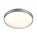 Настенно-потолочный светильник Sonex Gaby 7784/CL пластик/белый/серебро LED 30Вт