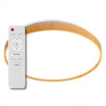 Светодиодный светильник потолочный 90Вт с ПДУ Lumin'arte Starwood CLL47