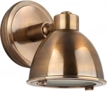 Настенный светильник уличный Covali WL-38034 (220V, IP54)