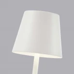 Настольная лампа с аккумулятором F-Promo Pyari 4614-1T (LED, 220V)