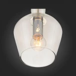 Подвесной светильник ST Luce Biorno SL364.103.01