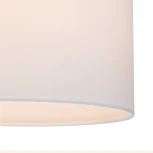 Подвесной светильник Bovilla 10175/1S E27*60W Chrome (220V, на проводе, круглые)