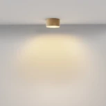 Потолочный светильник круглый Maytoni Zon C032CL-12W2.7K-RD-MG (LED, 220V, круглые)