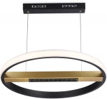 Подвесной светодиодный светильник Ambrella Comfort FL51489 (регулировка яркости, 220V, пульт управления, на тросе, кольцо)