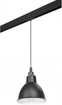 Трековый светильник однофазный 220V Lightstar Loft PRO765017
