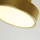 Потолочный светильник круглый F-Promo Atma 3059-2P (LED, 220V, круглые)