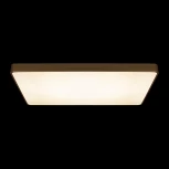 Потолочные светильники Loft It Flims 10228/E (LED, 220V)