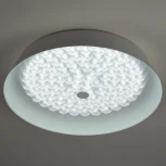 Потолочный светильник круглый светодиодный с пультом регулировкой цветовой температуры и яркости ЭРА SPB-6-80-RC Locus RGB (220V, круглые)