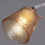 Потолочная люстра на штанге Reluce 06003-0.3-03 FG+WT