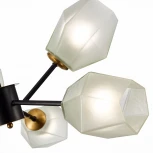 Потолочная люстра Evoluce Terramo SLE205102-06