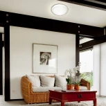 Настенно-потолочный светильник Sonex Masio 2056/EL