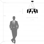 Подвесная люстра Roma 718097 (220V, на тросе, круглые, кольцо)