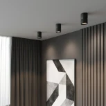 Светильник потолочный светодиодный Elektrostandard Kayo 25049/LED 12W 4000К черный (220V, круглые)