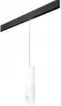 Трековый светильник однофазный 220V Lightstar Rullo PRORP649686 (круглые)