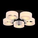 Потолочная люстра ST Luce Foresta SL483.402.05