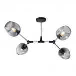 Потолочная люстра Freya Desi FR5006CL-04B (220V, молекулы)