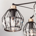 Потолочная люстра Eurosvet Lord 70075/5 черный (220V)