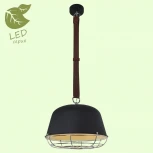 Подвесной светильник Lussole Loft Kodiak GRLSP-8044