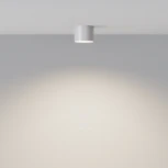 Потолочный светильник Maytoni Glam C096CL-GX53-W (220V, круглые)