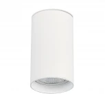 Светильник потолочный ST Luce ST157.542.20 (LED, 220V, круглые, IP44)