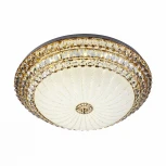 Потолочный светильник светодиодный с пультом с регулировкой цветовой температуры и яркости LED4U LED4U L1101-550 GD