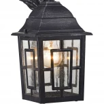 Настенный фонарь уличный Favourite Hunt 2252-1W (220V, животные, IP44)