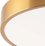 Потолочный светильник светодиодный Zortes Tortty ZRS.02566.36