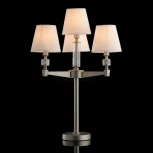 Интерьерная настольная лампа MW-Light ДельРей 700033004