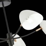 Потолочная люстра на штанге Evoluce Satta SLE103602-05 (220V)