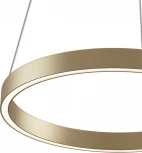 Подвесной светильник Maytoni Rim MOD058PL-L22BSK (LED, 220V, на тросе, кольцо)