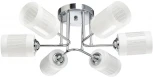 Потолочная люстра MW-Light Олимпия 106010506