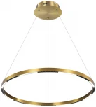 Подвесной светильник Aployt Noella APL.051.13.43 (LED, 220V, на тросе, кольцо)