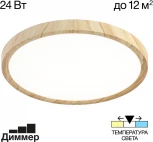 Настенно-потолочный светильник Citilux Бейсик CL738242V (регулировка яркости, LED, 220V, круглые, IP40)