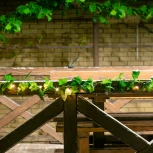 Садовая гирлянда на солнечной батарее «Плющ». 20 светодиодов, 1*АА Ni-Mh аккумулятор в/к. IP44 Uniel USL-S-135/PT2000 IVY