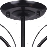 Потолочная люстра Toplight Roberta TL3700X-03BC