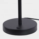 Настольная лампа Favourite Vorago 4572-1T (LED, 220V)