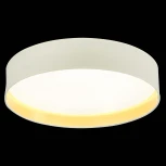 Потолочный светильник Brescia SLE300552-01 Evoluce