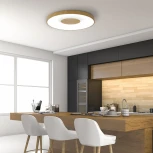 Потолочный светильник круглый Mantra Coin 7562 (регулировка яркости, LED, 220V, пульт управления, круглые)