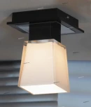 Потолочный светильник Lussole Lente LSC-2507-01 (220V, IP21)