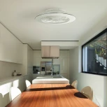 Потолочный светильник круглый с вентилятором Mantra Alisio 6705 (LED, 220V, диммер, пульт управления, круглые)