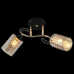 Потолочная люстра на штанге Reluce 01309-0.3-02 BK+FGD