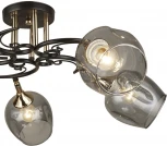 Потолочная люстра Wedo Light Alvi 66744.01.15.05