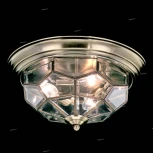 Потолочный светильник круглый Citilux Витра-1 CL442530 (220V)