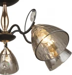 Потолочная люстра Wedo Light Montello 66669.01.69.05